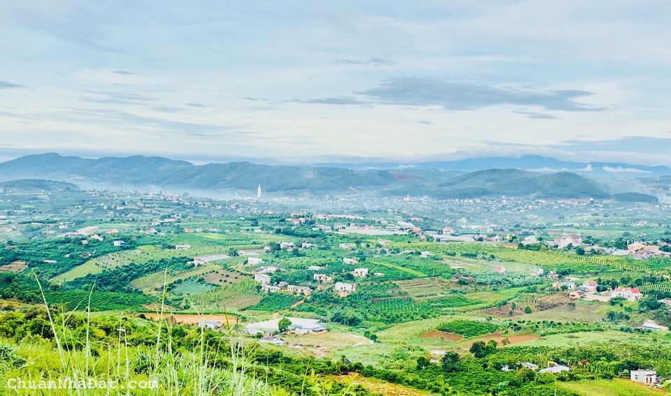 Bán khu đất đã phân lô, view đẹp tại Đông Thanh Bán khu đất đã phân lô, view đẹp tại Đông Thanh