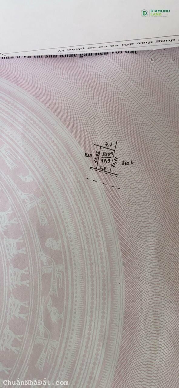 thanh khoản 77.9m2 Thái Phù - Mai Đình - Sóc Sơn 