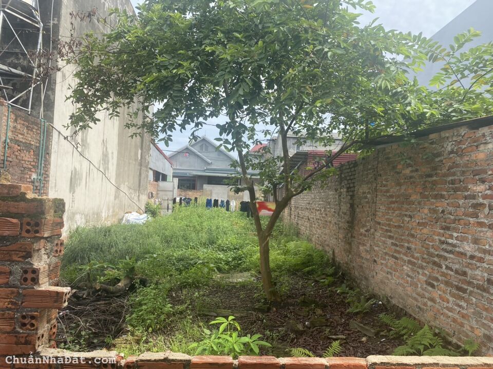 Cc 90m2 Dược Thượng - Tiên Dược - Sóc Sơn Cc 90m2 Dược Thượng - Tiên Dược - Sóc Sơn