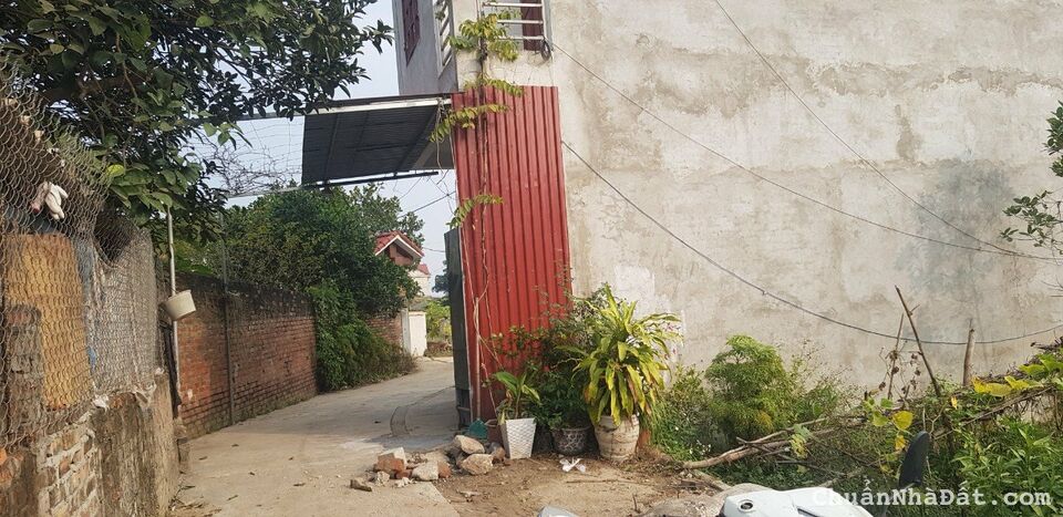 Bán nhanh 98.8m2 Đồng lạc - Tiên Dược - Sóc Sơn.