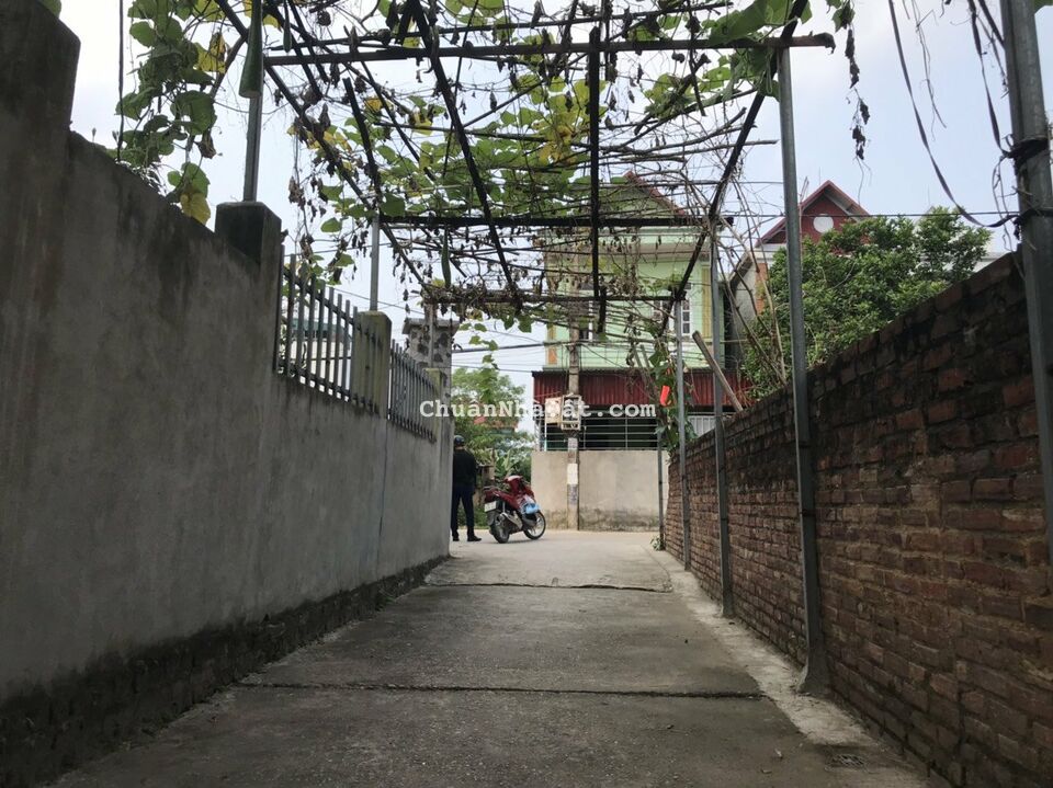 Thanh Khoản nhanh 60m2 Tân phú - Phú Cường - Sóc Sơn Thanh Khoản nhanh 60m2 Tân phú - Phú Cường - Sóc Sơn