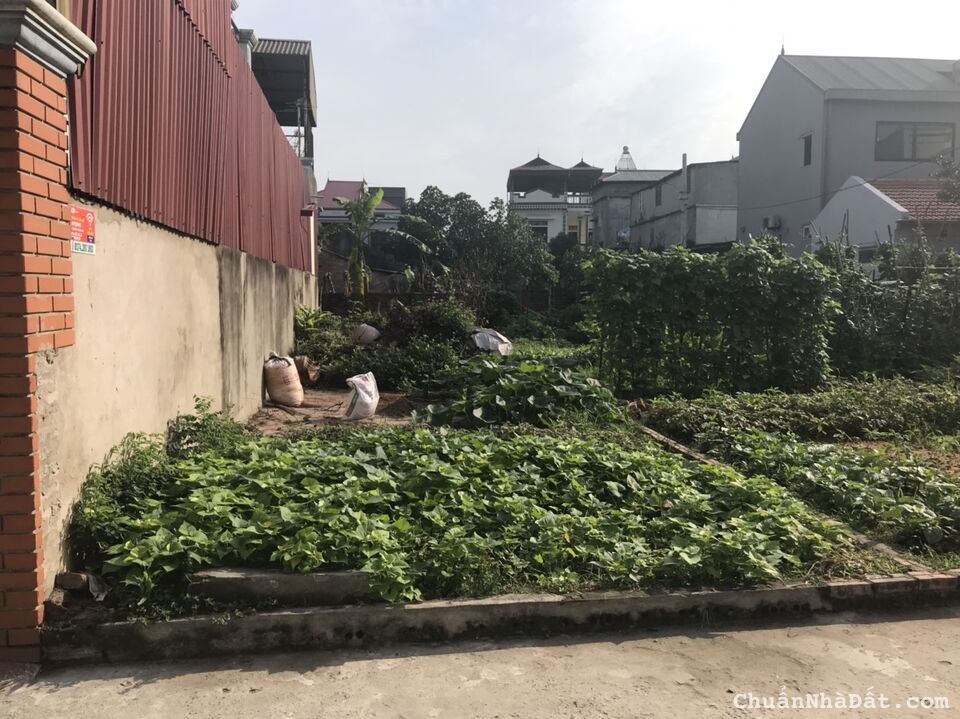  57m2 Đường Yên - Xuân Nộn - Đông Anh - Hà Nội