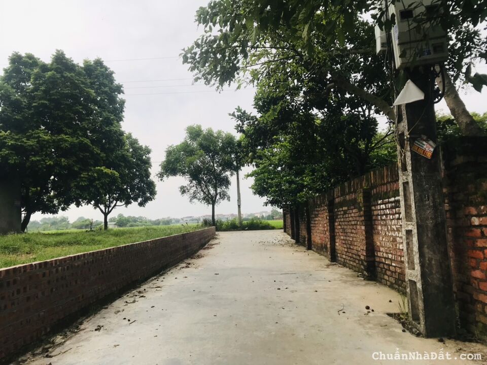 bán Nhanh 91m2 Đông Lai - Quang tiến - Sóc Sơn bán Nhanh 91m2 Đông Lai - Quang tiến - Sóc Sơn