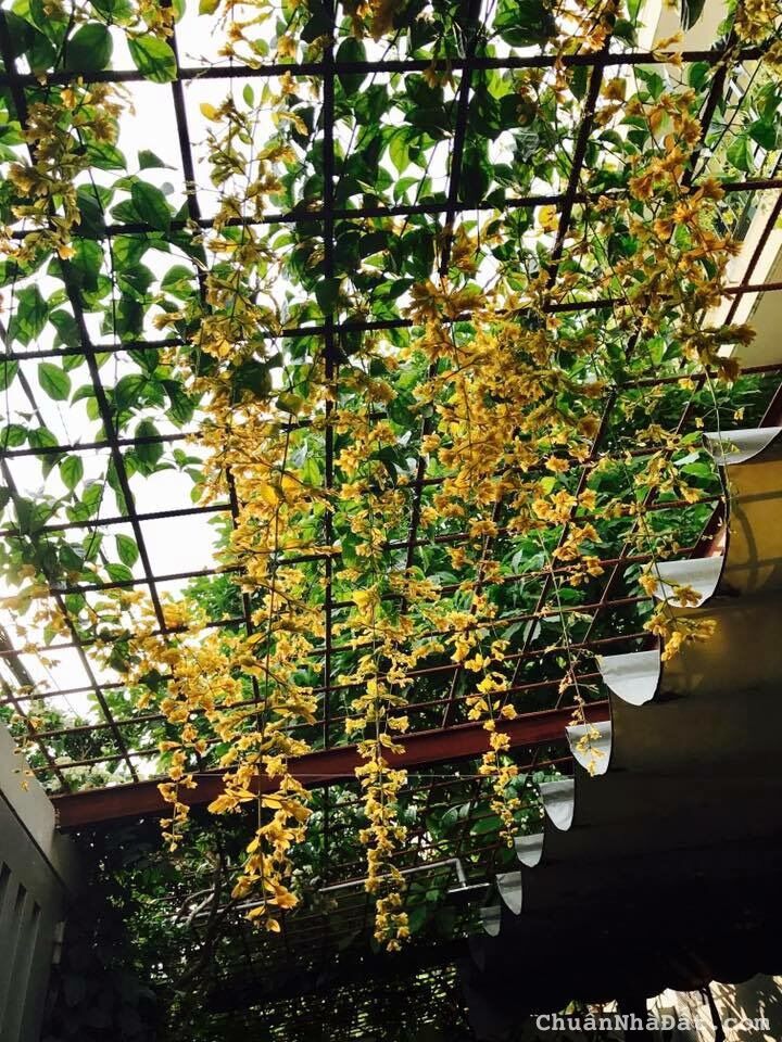 Bán nhà hẻm xe hơi Hoàng Hoa Thám phường 6 bình thạnh 9x20 nhà mới đẹp- giá 17.5ty