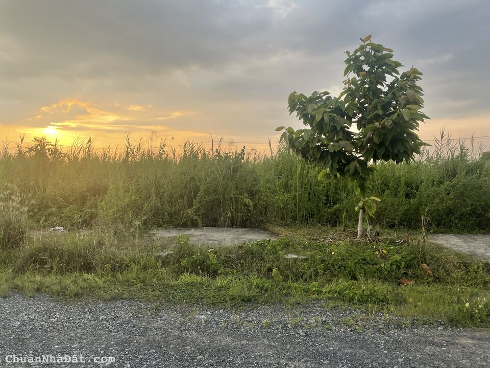 Bán nền giá cực sốc KDC Phước Đông