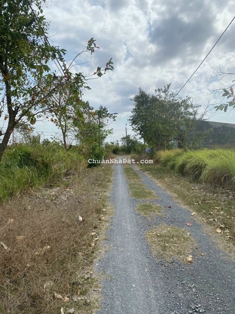 Bán nền 100m2 khu tái định cư Phước Đông