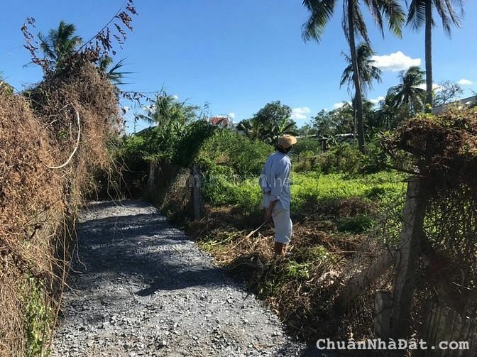 bán đất bình thuận đầy đủ thổ cư bán đất bình thuận đầy đủ thổ cư