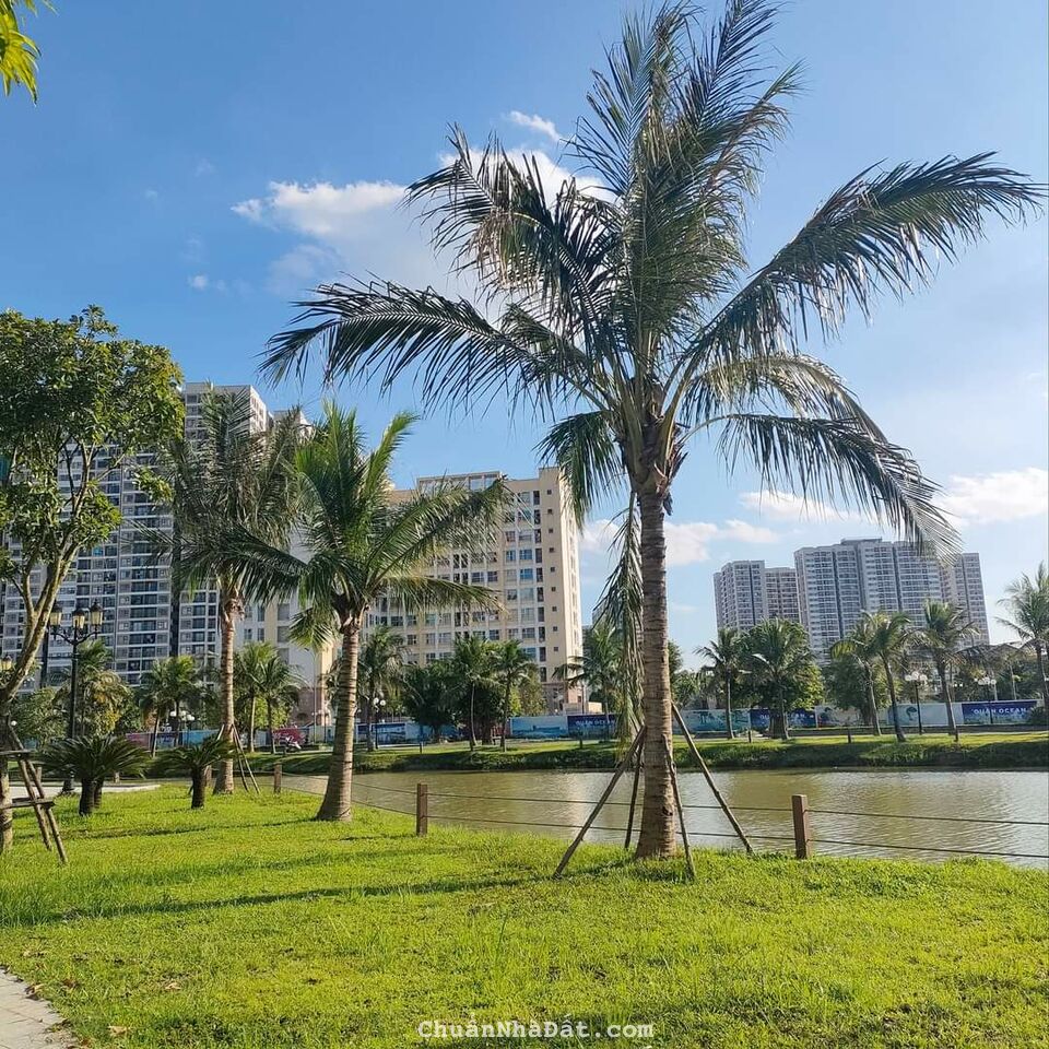 Bân gấp biệt thự Vinhomes Ocean Park Gia Lâm 328m giá chỉ 80 tỷ