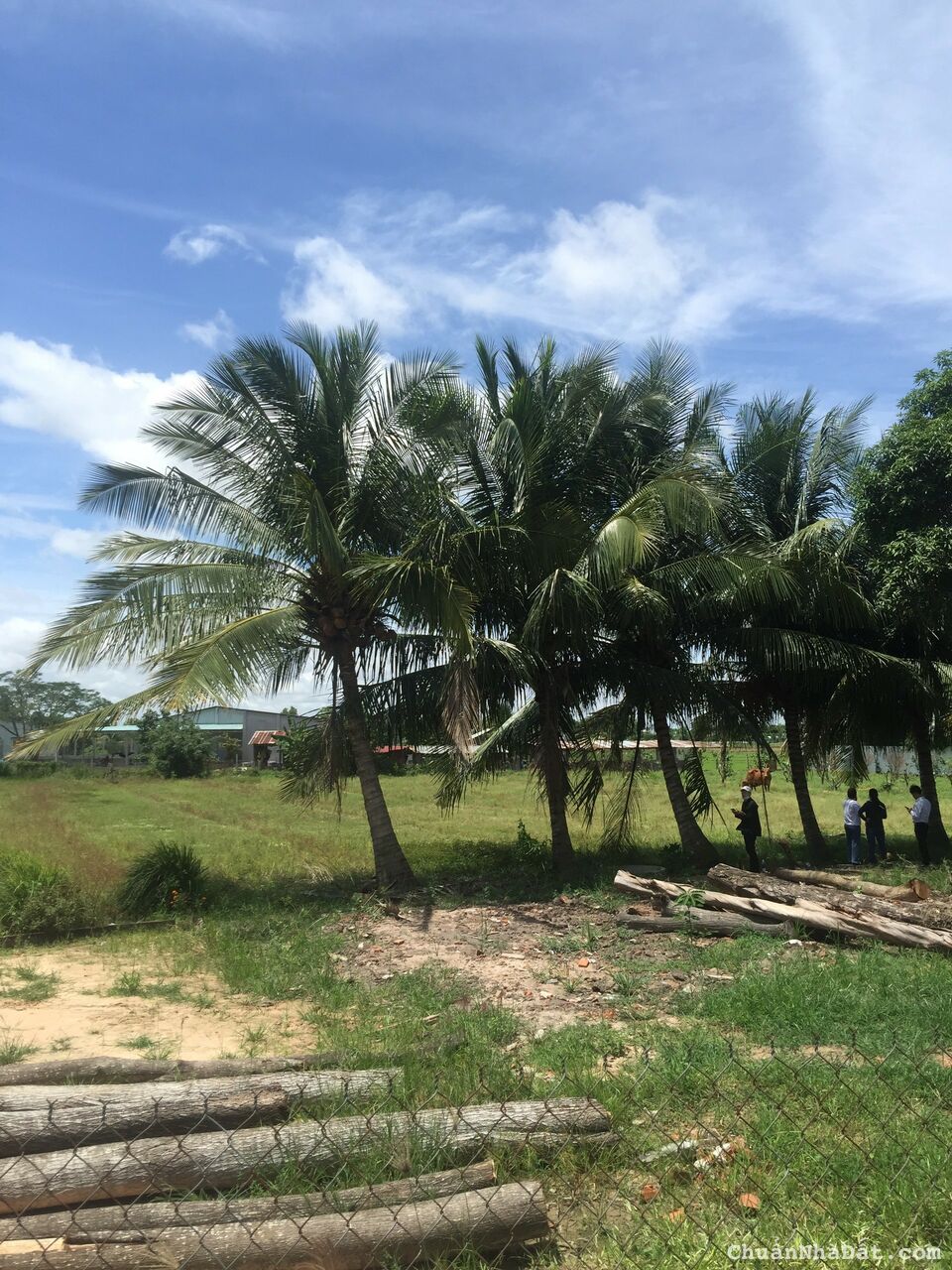 Bán đất nền Tây Ninh 175m2 Sổ hồng sẵn, ngay Cao tốc TP. HCM - Mộc Bài Bán đất nền Tây Ninh 175m2 Sổ hồng sẵn, ngay Cao tốc TP. HCM - Mộc Bài