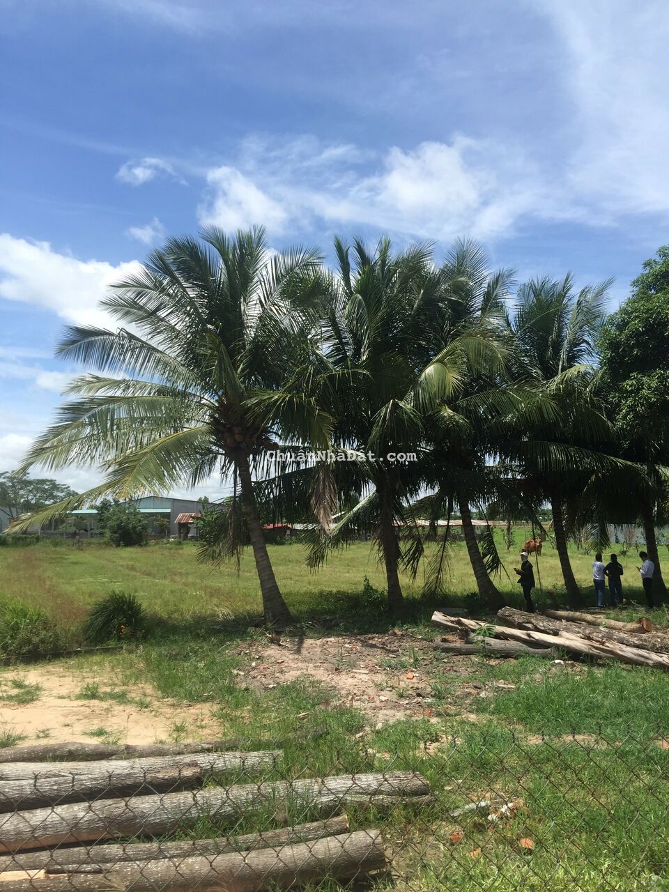 Bán đất thổ cư Tây Ninh ngay Cao tốc HCM - Mộc Bài chỉ từ 480tr/ Nền