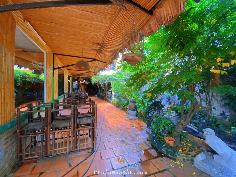 Cần bán gấp siêu phẩm đất vàng tặng nhà C4 Xuân La 512m2, 12m mặt tiền, ô tô, lô góc 3 t