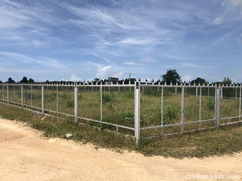 🔥Bán nhanh 1038m2 (20x52)phủ hồng Khu Rừng Vàng Gần Biển LaGi, Bình Thuận