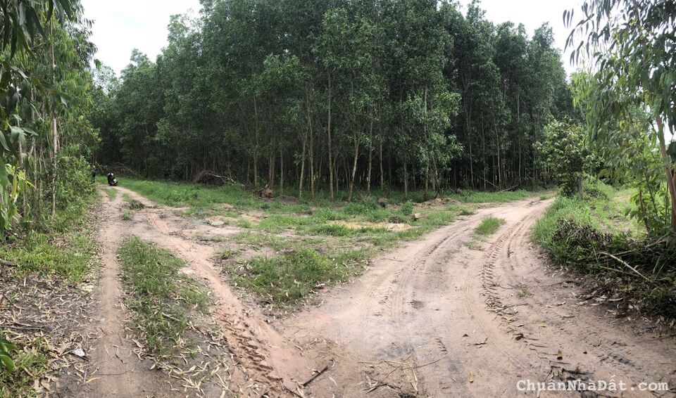 🔥Bán gấp 1,9hec 400m mặt tiền đường Tân Tiến, T.X LaGi, Bình Thuận 🔥Bán gấp 1,9hec 400m mặt tiền đường Tân Tiến, T.X LaGi, Bình Thuận