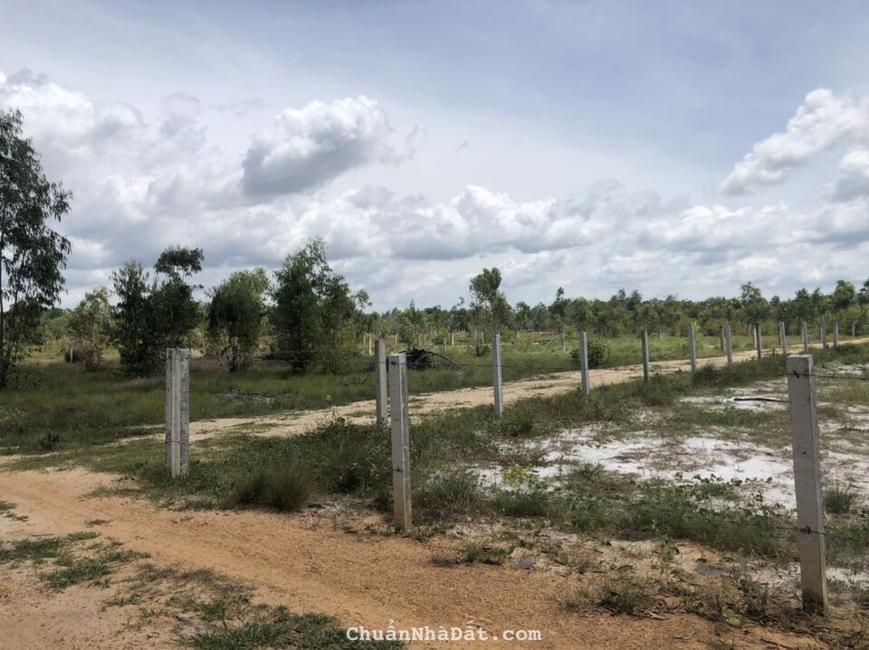 🔥Bán 37x27 lô góc Phủ Hồng Khu Rừng Vàng, Tân Bình, LaGi, Bình Thuận