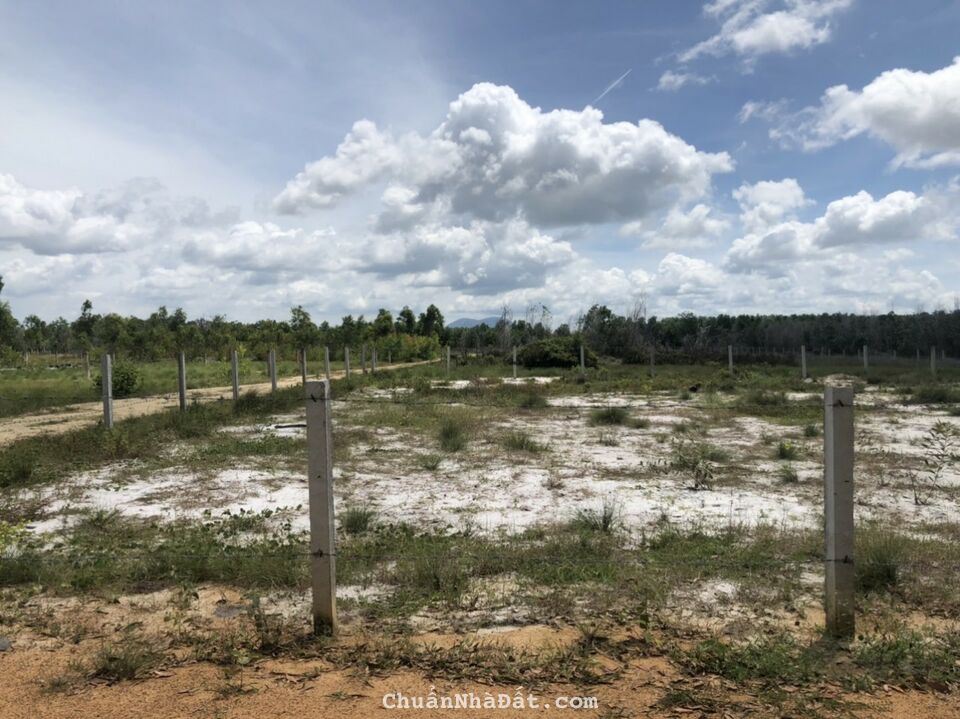 🔥Bán 37x27 lô góc Phủ Hồng Khu Rừng Vàng, Tân Bình, LaGi, Bình Thuận