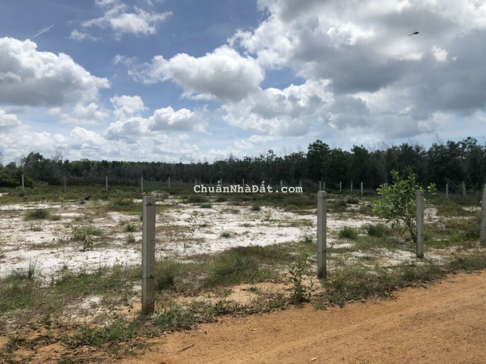 🔥Bán 37x27 lô góc Phủ Hồng Khu Rừng Vàng, Tân Bình, LaGi, Bình Thuận