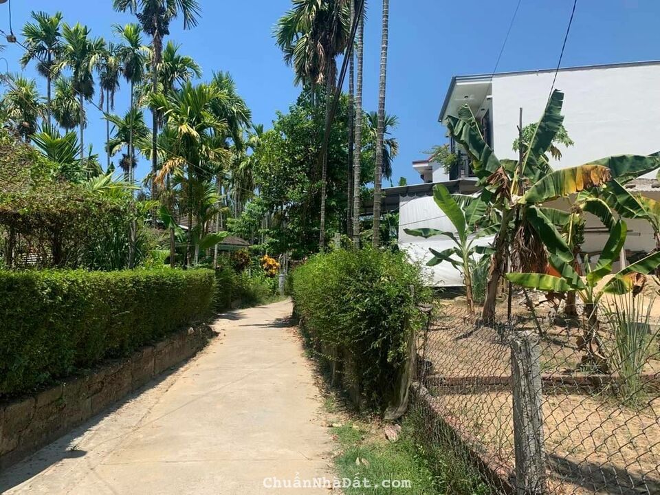 Đất Hội An Giá Rẻ Để Mua Ở Lẫn Đầu Tư Cho Ai Cần, Gọi Minh 0935112151 Nha Đất Hội An Giá Rẻ Để Mua Ở Lẫn Đầu Tư Cho Ai Cần, Gọi Minh 0935112151 Nha