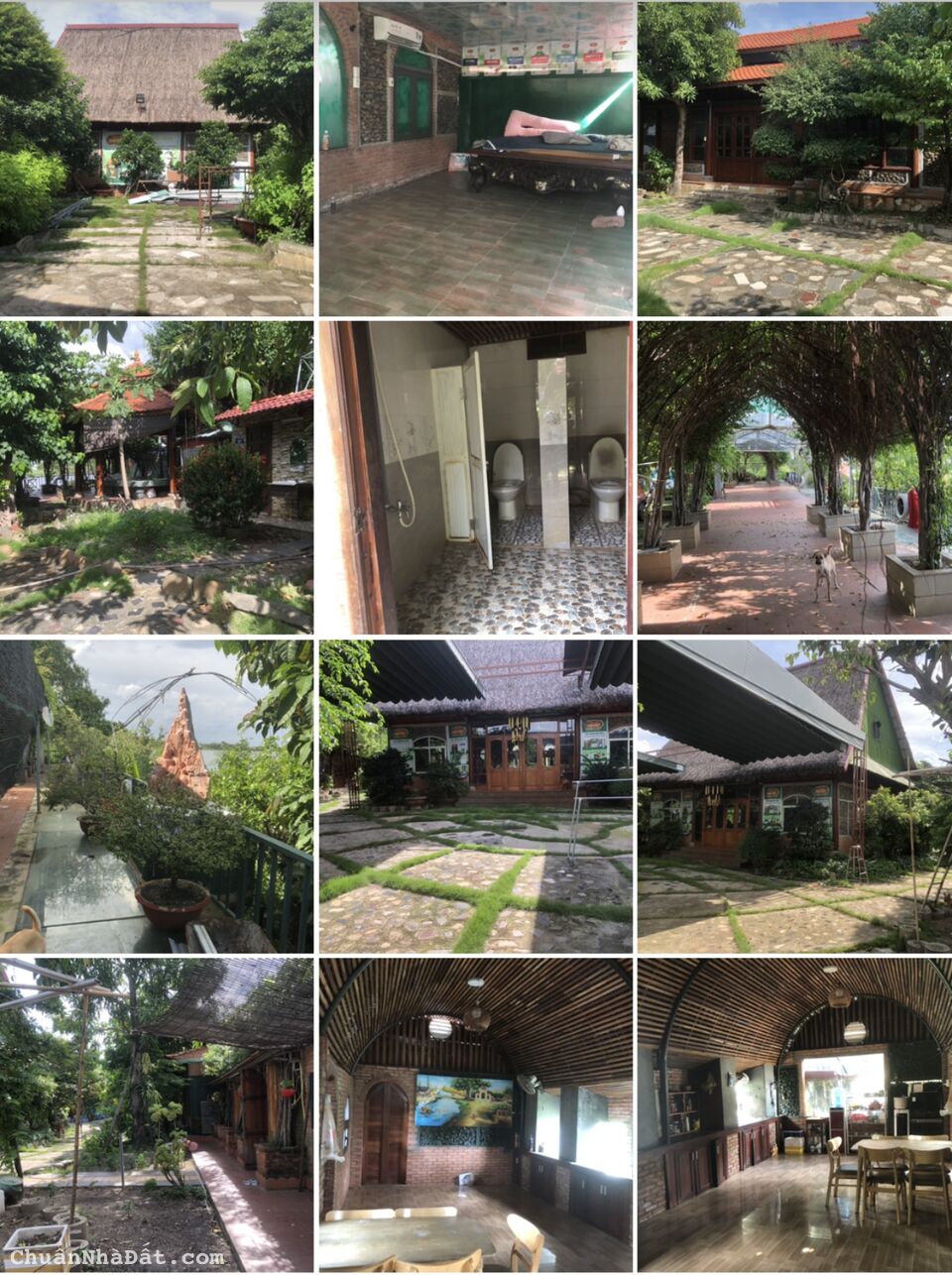 Cho thuê MB ven sông Sài Gòn 2500m2 làm du lịch sinh thái Thạnh Lộc Quận 12