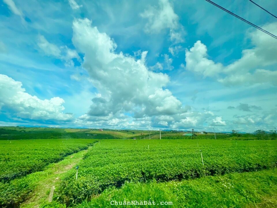 Mở bán đất nền tại Bảo Lộc, view đồi núi giá rẻ ưu đãi !!!