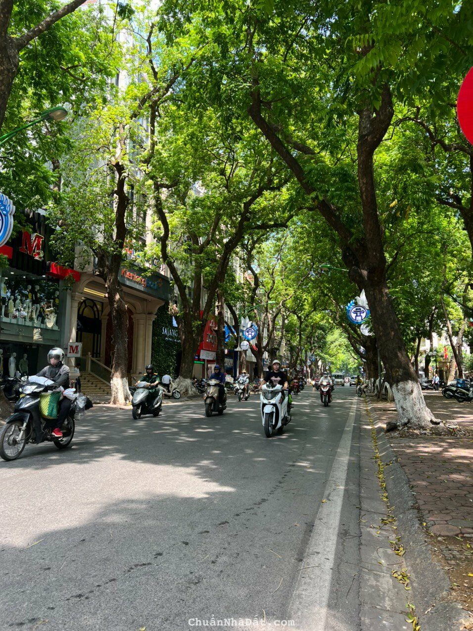 Nhà mặt phố Phan Đình Phùng, Hoàn Kiếm 52m2, 9 tầng, Kinh doanh, Giá chỉ: 65 tỷ