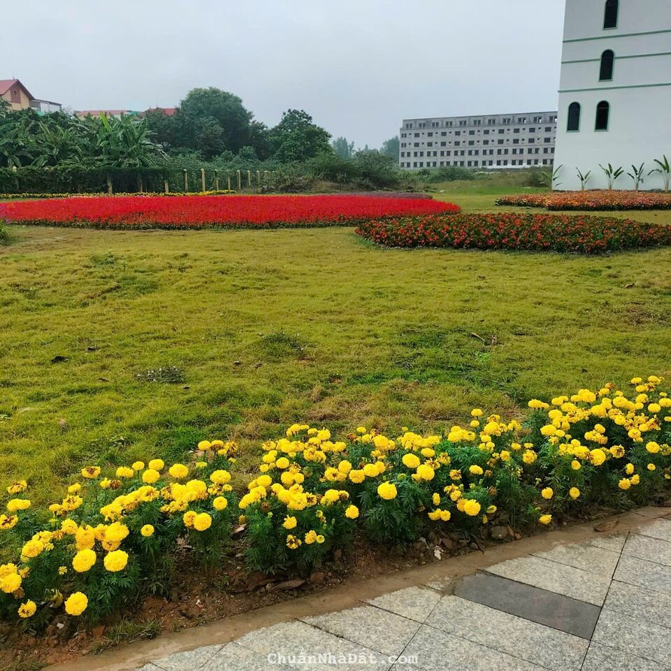 Cần bán shop house tại KĐT SKY GARDEN-VĨnh Yên