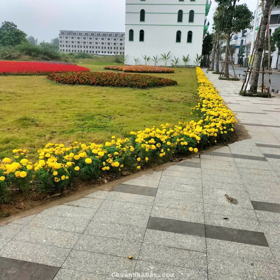 Cần bán shop house tại KĐT SKY GARDEN-VĨnh Yên