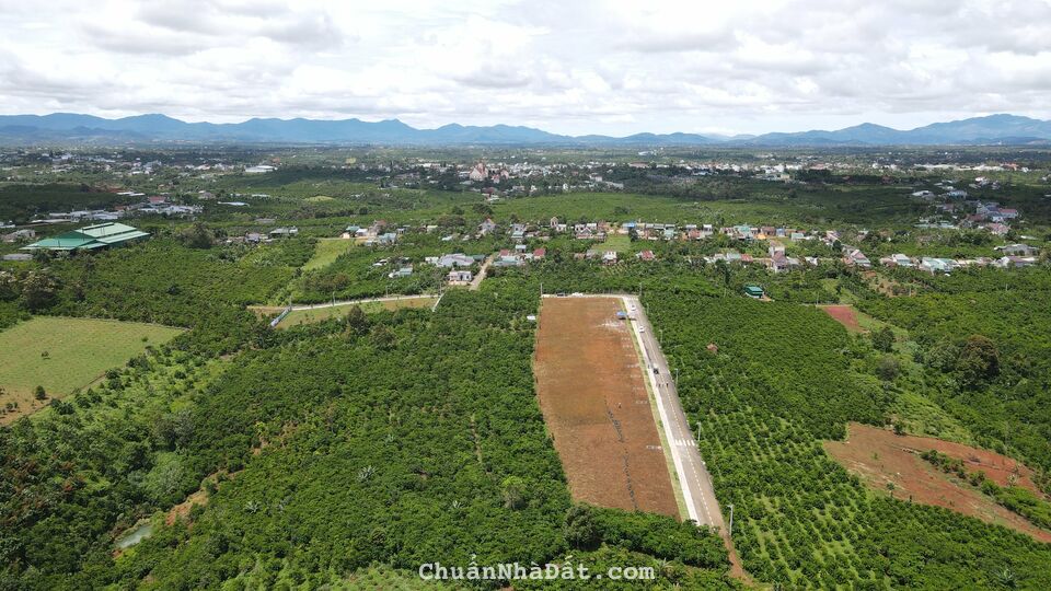 SỞ HỮU LÔ ĐẤT VIEW SƯỜN ĐỒI TẠI BẢO LỘC CHỈ TỪ 600TR 