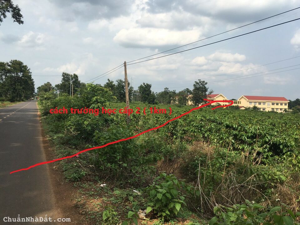 IAHRUNG ,IAGRAI ,GIA LAI :Sale sập sàn chỉ còn 380tr có ngay lô đất cách thị trấn ia kha 4km.  Có 4