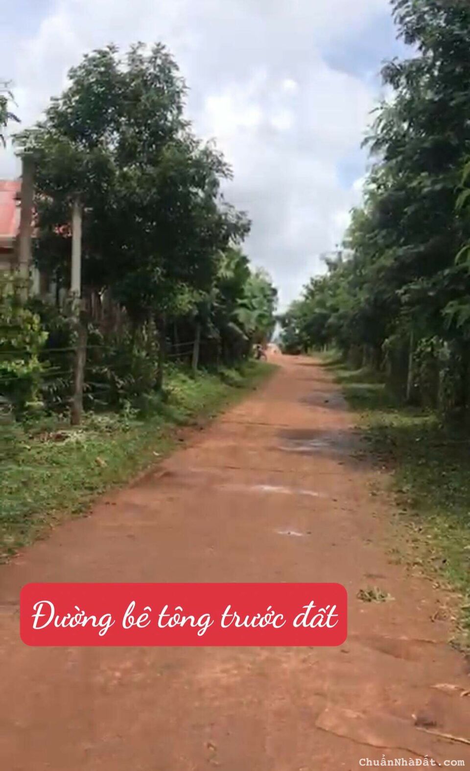 160 triệu bán đất Huyện IaGrai , GIA LAI MẶT TIỀN đường bê tông 160 triệu bán đất Huyện IaGrai , GIA LAI MẶT TIỀN đường bê tông