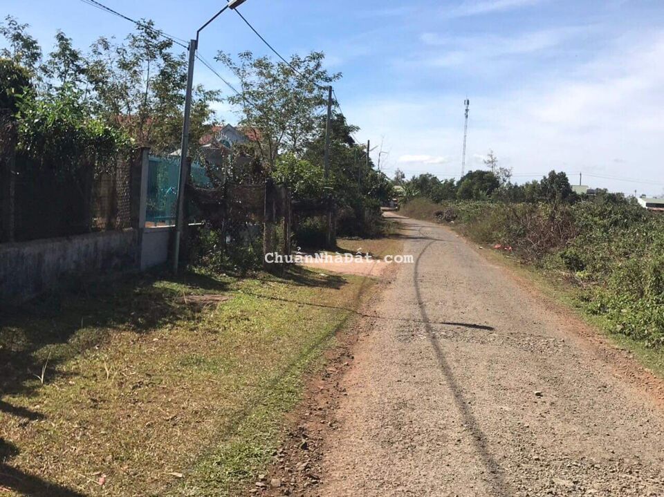 230 triệu bán lô đất mặt tiền đường nhựa 6 x 35 thổ cư 50m2 230 triệu bán lô đất mặt tiền đường nhựa 6 x 35 thổ cư 50m2