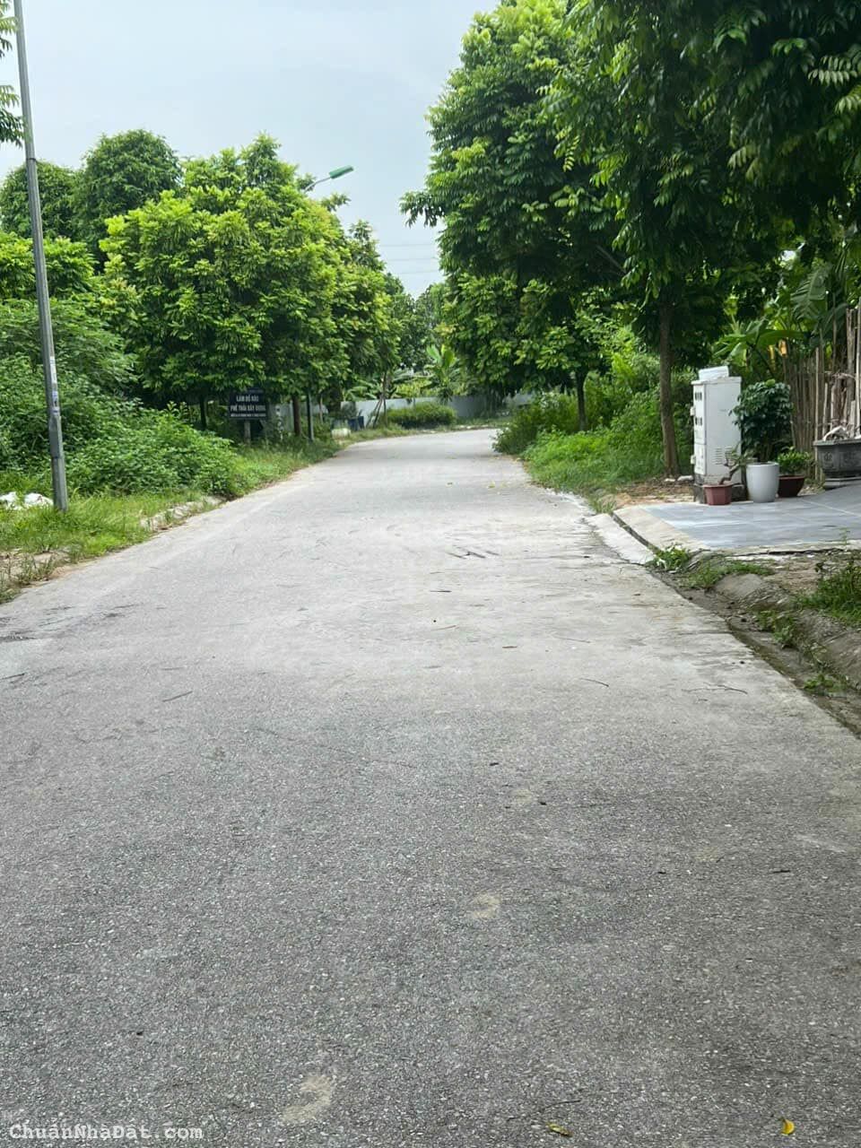 Bán đất phố Bạch Công Liêu, TĐC Ngọc Châu, TP HD, 73m2, mt 5m, hướng đông, giá tốt Bán đất phố Bạch Công Liêu, TĐC Ngọc Châu, TP HD, 73m2, mt 5m, hướng đông, giá tốt