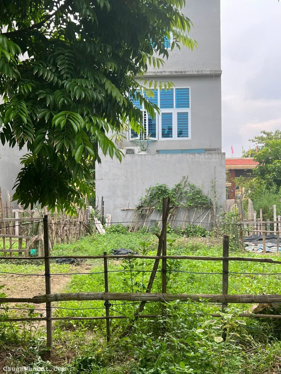 Bán đất phố Bạch Công Liêu, TĐC Ngọc Châu, TP HD, 73m2, mt 5m, hướng đông, giá tốt Bán đất phố Bạch Công Liêu, TĐC Ngọc Châu, TP HD, 73m2, mt 5m, hướng đông, giá tốt