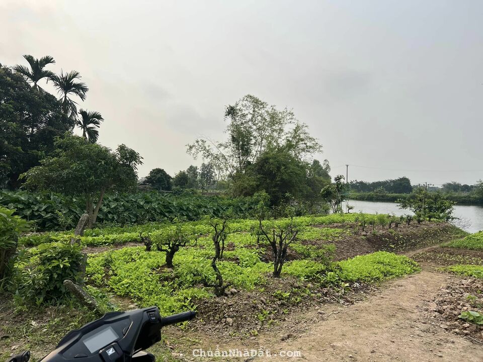 Bán đất khu Khuê Chiền, Tân Hưng, TP HD, 100m2, mặt tiền 5m, hậu 5m, đường to rộng