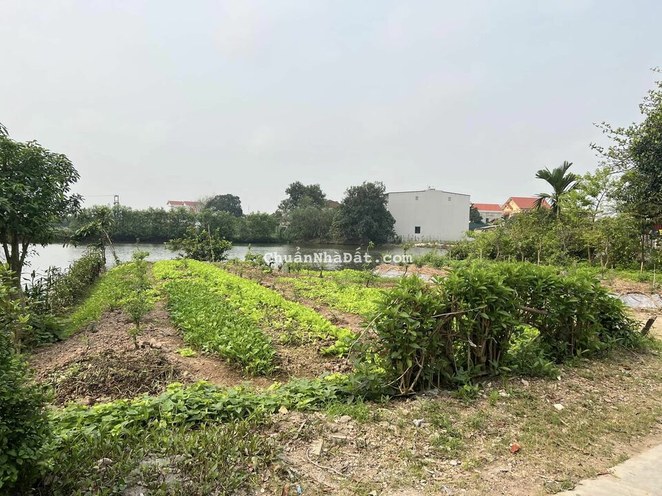 Bán đất khu Khuê Chiền, Tân Hưng, TP HD, 100m2, mặt tiền 5m, hậu 5m, đường to rộng