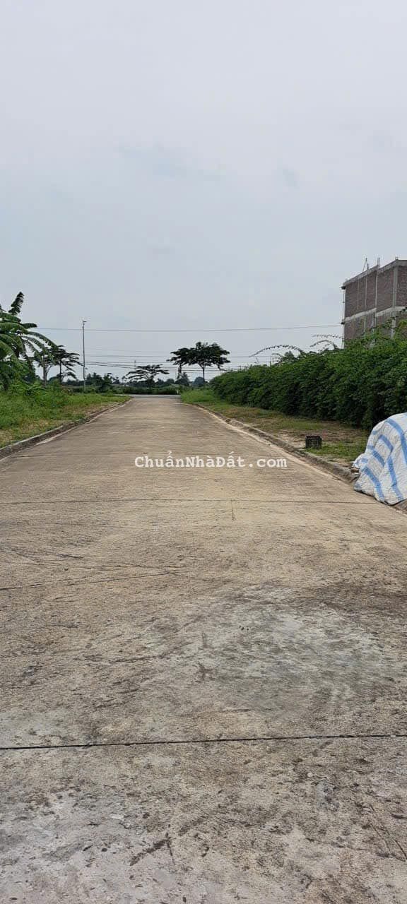 Bán đất đấu giá khu Cương Xá, phường Tân Hưng, TP HD, 99.8m2, mt 5.85m, đường 13m, chỉ 1.7x tỷ