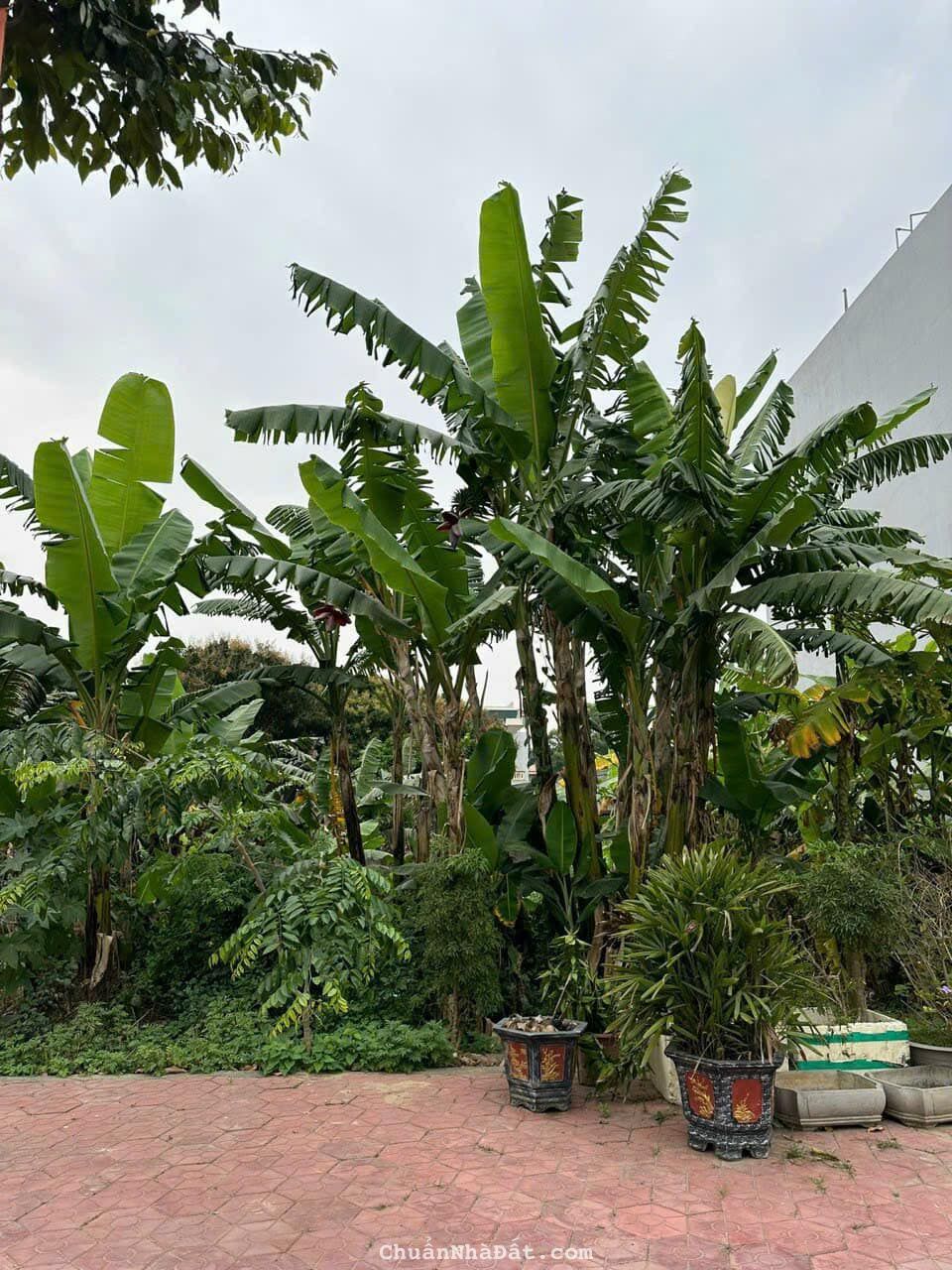 Bán đất KĐT Việt Hòa, phường Việt Hòa, TP HD, 95m2, mt 5m, đường to rộng, sổ hồng cc