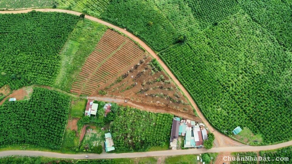 BÁN ĐẤT NỀN SIÊU ĐẸP TẠI TP. BẢO LỘC, SỔ RIÊNG TỪNG NỀN. BÁN ĐẤT NỀN SIÊU ĐẸP TẠI TP. BẢO LỘC, SỔ RIÊNG TỪNG NỀN.