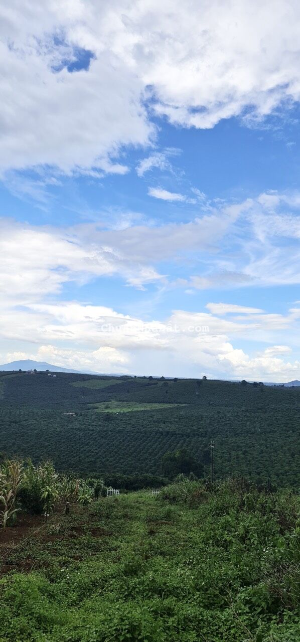 BÁN ĐẤT NỀN SIÊU ĐẸP TẠI TP. BẢO LỘC, SỔ RIÊNG TỪNG NỀN.