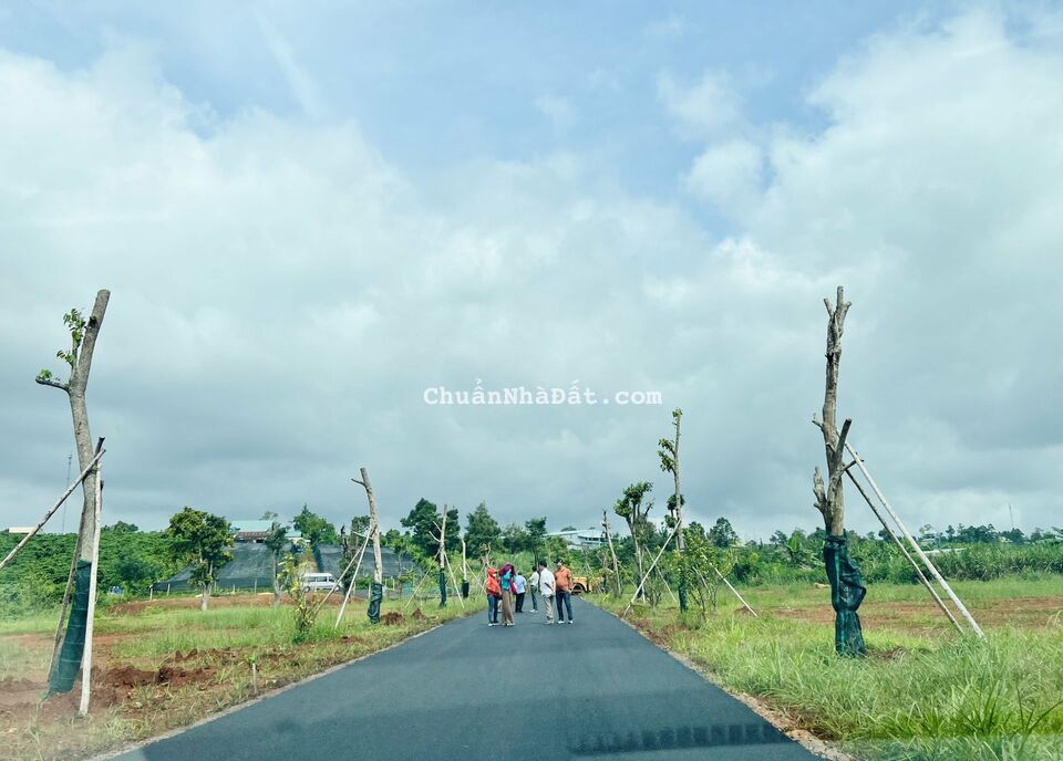 BÁN ĐẤT NỀN 4,9TR/M2 TRUNG TÂM TP. BẢO LỘC, SỔ RIÊNG TỪNG NỀN, SANG TÊN CÔNG CHỨNG NGAY