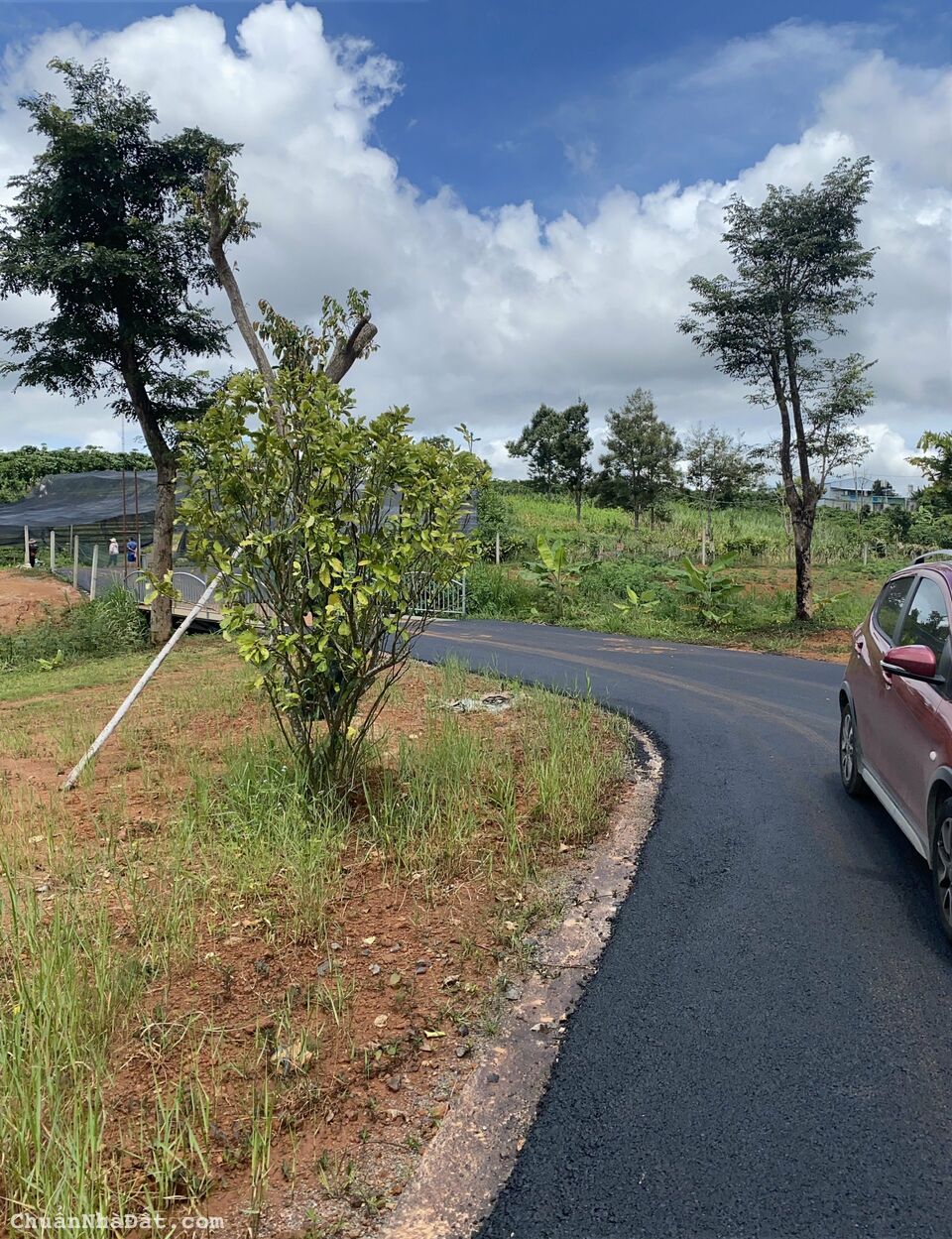 BÁN ĐẤT NỀN 4,9TR/M2 TRUNG TÂM TP. BẢO LỘC, SỔ RIÊNG TỪNG NỀN, SANG TÊN CÔNG CHỨNG NGAY