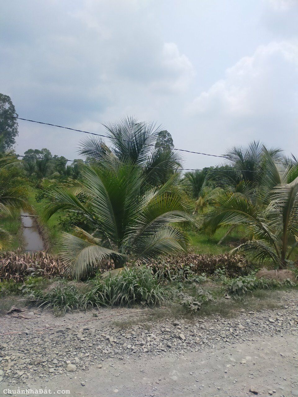 Chỉ 3.550 tỷ có  ngay 5.630m2 thổ vườn 2 mặt tiền