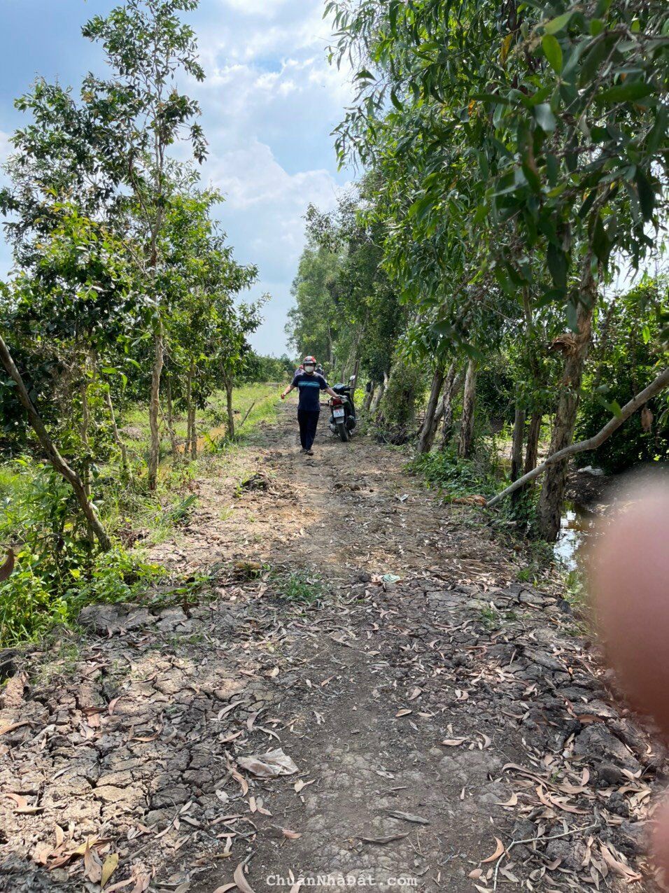 Chỉ 3.550 tỷ có  ngay 5.630m2 thổ vườn 2 mặt tiền