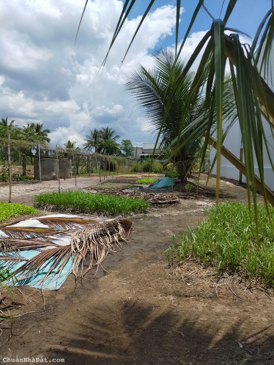 Siêu Hot! chỉ 1.650tr sở hữu ngay 300m thổ cư đường 4.5m 