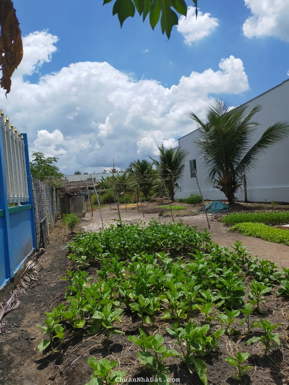 Siêu Hot! chỉ 1.650tr sở hữu ngay 300m thổ cư đường 4.5m 