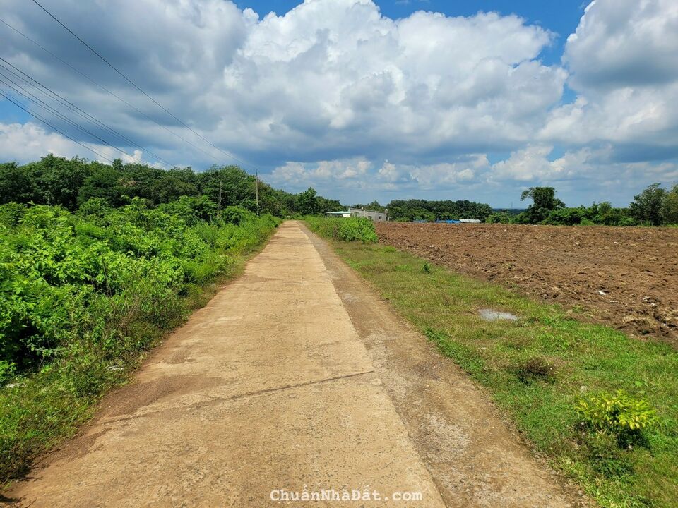 Chính chủ ra gấp lô đất thổ cư 250m2 giá 450tr mặt tiền betong