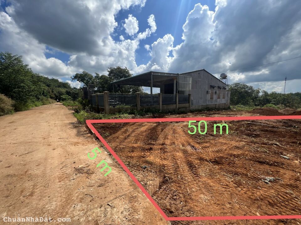 Đất Thổ Cư Mặt Tiền Đường Bê tông ngay Quốc lộ 14 Đất Thổ Cư Mặt Tiền Đường Bê tông ngay Quốc lộ 14