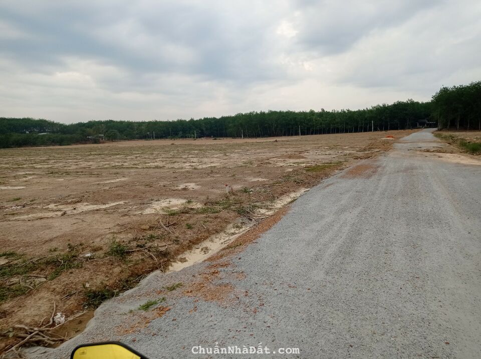 Duy nhất 1 Lô Tân Lợi ngang 15mx67m sát Becamex