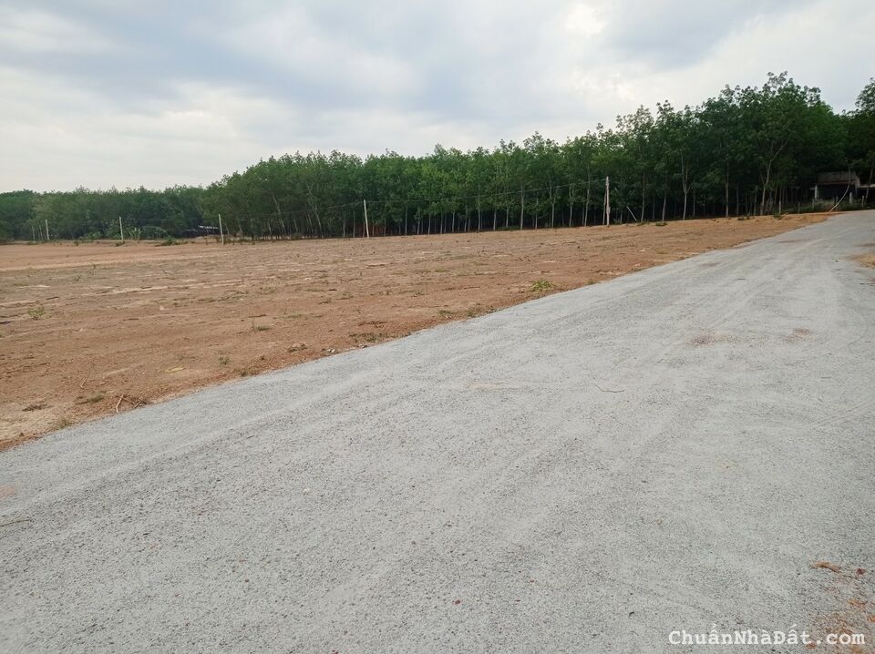 Duy nhất 1 Lô Tân Lợi ngang 15mx67m sát Becamex