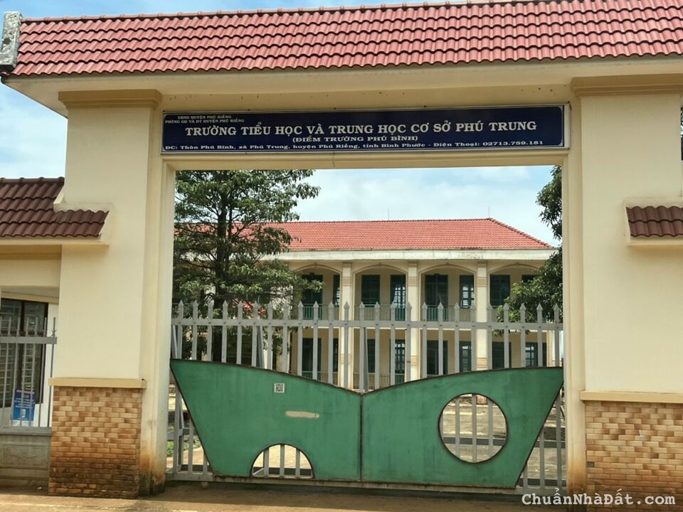 4 nền mặt tiền nhựa 5x50x100tc ngay ủy ban giá ngộp