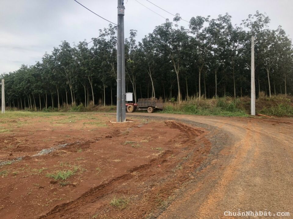 4 nền mặt tiền nhựa 5x50x100tc ngay ủy ban giá ngộp